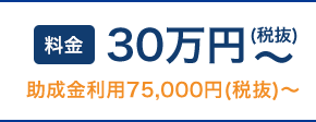 30万円〜（税抜）/月